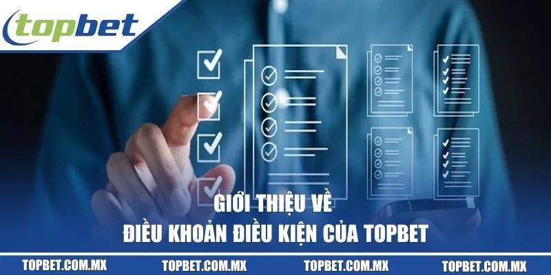 Giới thiệu về điều khoản điều kiện của Topbet
